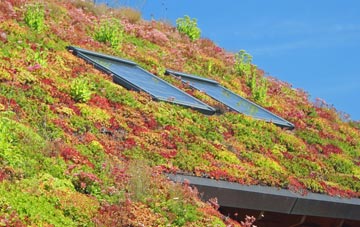Aldergrove living roof systems