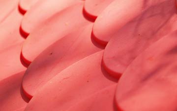 Aldergrove plastic roof costs