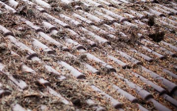 Aldergrove roof cleaning companies