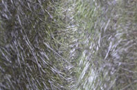 Aldergrove fibreglass roof work