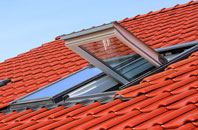 Aldergrove roof window